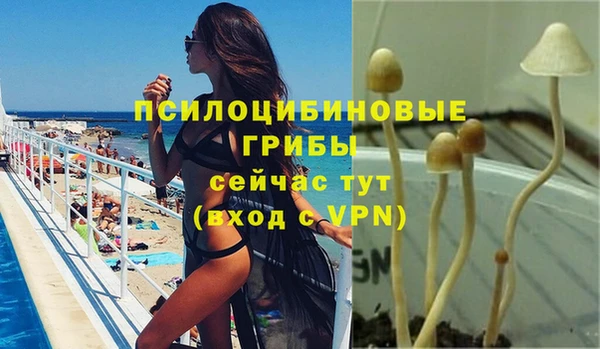 хмурый Баксан